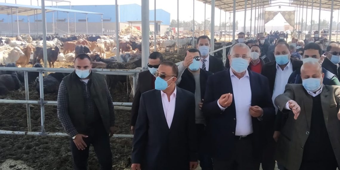 وزير الزراعة ومحافظ الإسكندرية ورئيس هيئة الاستثمار يفتتحون مزرعة الإنتاج الحيواني بالنوبارية بطاقة 60 ألف رأس سنويا على مساحة 40 فدان