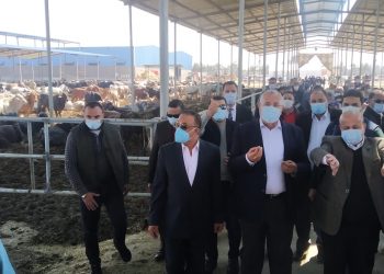وزير الزراعة ومحافظ الإسكندرية ورئيس هيئة الاستثمار يفتتحون مزرعة الإنتاج الحيواني بالنوبارية بطاقة 60 ألف رأس سنويا على مساحة 40 فدان