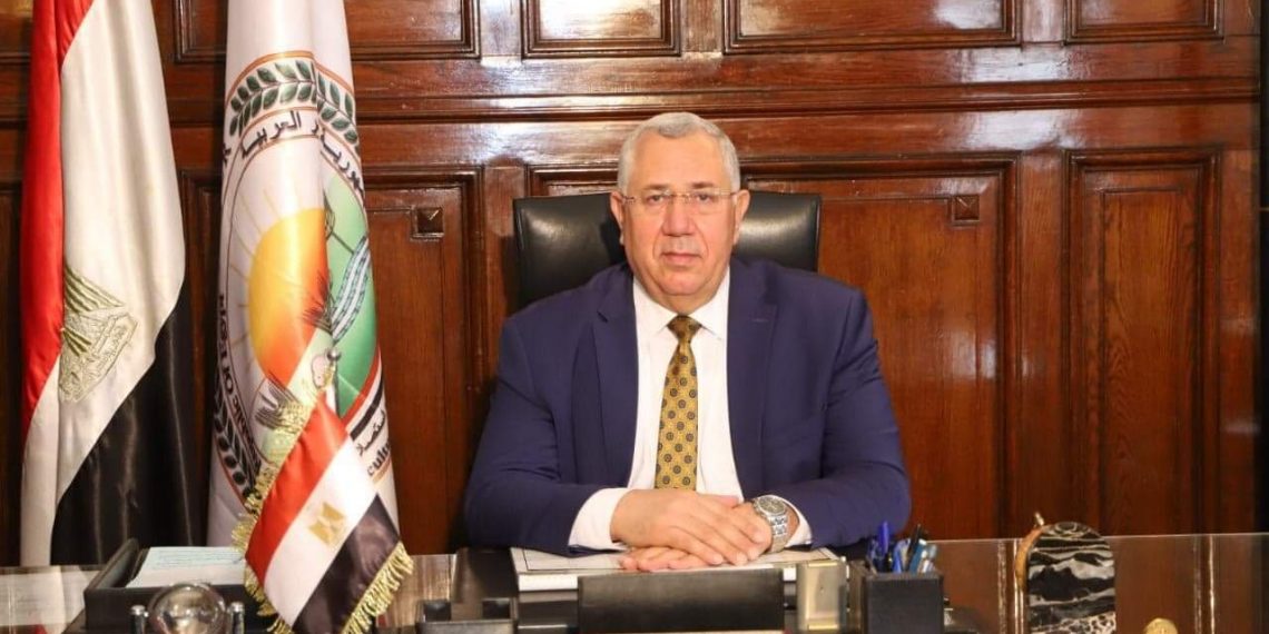 الزراعة توافق على تصدير كتاكيت بياض وبيض مائدة إلى غانا وليبيا