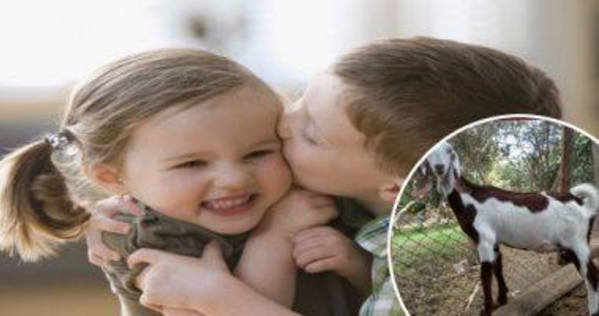 بالفيديو.. التفاصيل الكاملة لخناقة “اللي عنده معزة”