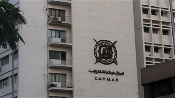 الإحصاء: 218.8% زيادة في صادرات القطن المصري