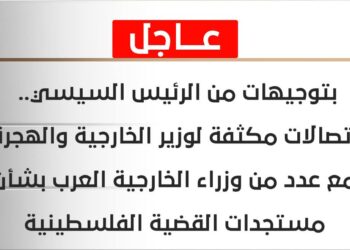 #عاجل . . توجيهات من الرئيس السيسي لوزير الخارجية والهجرة  بشأن مستجدات القضية الفلسطينية