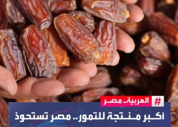 مصر أكبر منتج للتمور في العالم 🇪🇬🇪🇬