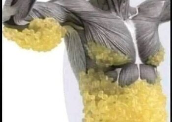 نصائح للقضاء على دهون أسفل البطن باختصار..