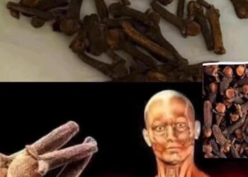 فوائد القرنفل المذهلة ..
