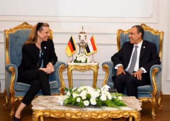 وزير الخارجية يؤكد أهمية الحفاظ على استقرار مصر ودعمها سياسيا واقتصاديا..