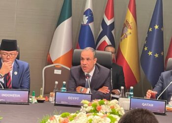 وزير الخارجية يشدد على أولوية وقف إطلاق النار في غزة والعمل على استدامة اتفاق 19 يناير 2025