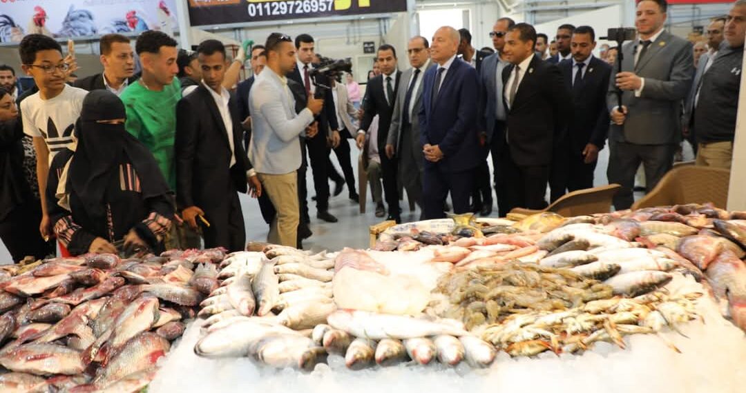 محافظ القاهرة ومستشار رئيس الجمهورية للتخطيط العمراني يفتتحان سوقين حضاريين بالمقطم..