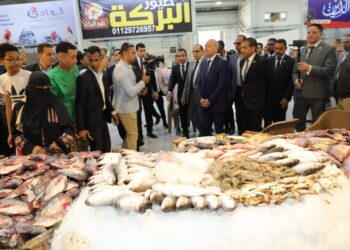 محافظ القاهرة ومستشار رئيس الجمهورية للتخطيط العمراني يفتتحان سوقين حضاريين بالمقطم..