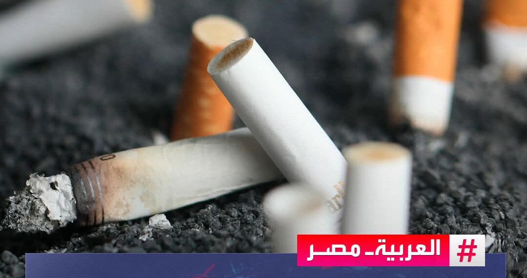 عدد المدخنين في مصر بلغ 10.3 مليون شخص
