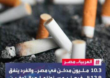 عدد المدخنين في مصر بلغ 10.3 مليون شخص