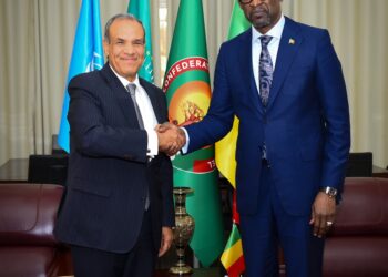 وزير الخارجية يؤكد على رغبة مصر في زيادة حجم التبادل التجاري مع مالي