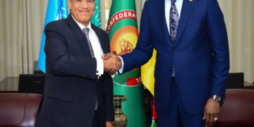 وزير الخارجية يؤكد على رغبة مصر في زيادة حجم التبادل التجاري مع مالي