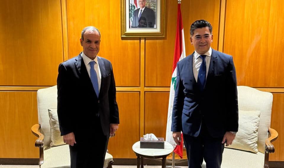 وزير الخارجية يؤكد دعم مصر المطلق للبنان الشقيق على مختلف الأصعدة