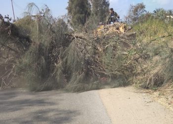 الطقس السيئ يتسبب في سقوط شجرة بطريق ههيا / أبوكبير..وتحرك سريع من نائب رئيس مركز ومدينة ههيا