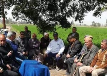 زراعة الشرقية تنفذ مدرسة حقلية إرشادية عن محصول القمح لمزارعي قرية كراديس بديرب نجم