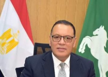 محافظ الشرقية يقدم التعازي لأسر ضحايا حادث قطاري سوهاج ويتمني الشفاء العاجل للمصابين