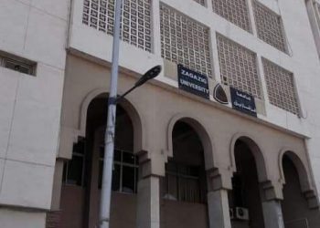 وحدة تعليم الكبار بجامعة الزقازيق تعقد ورشة عمل عن إنجازات كلية التربية النوعية في محو الأمية