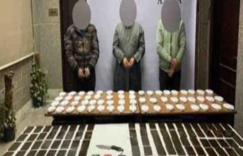 ضبط 180 طربة حشيش بحوزة تشكيل عصابي بالشرقية