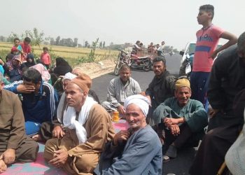 زراعة ههيا تنظم يوم حصاد محصول الفول البلدي صنف 716 بعزبة السناطي