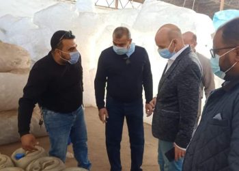 ضبط وإعدام أكثر من ١٢٧ طن أغذية فاسدة..وغلق ٢٠١ منشأة غذائية مخالفة بالشرقية