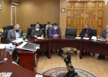 الشرقية تستعد لإستقبال موسم حصاد القمح