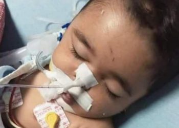 حبس نجار شرع فى قتل إبنته الرضيعة إنتقاماً من زوجته لطلبها الطلاق بالإبراهيمية