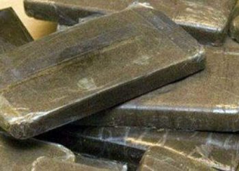 ضبط «١٠٠ طربة حشيش» بحوزة عاطل بالشرقية