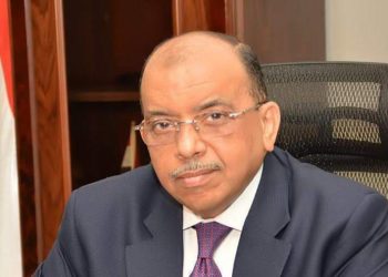 وزير التنمية المحلية يتابع آخر مستجدات التقدم في تنفيذ برنامج تطوير الريف