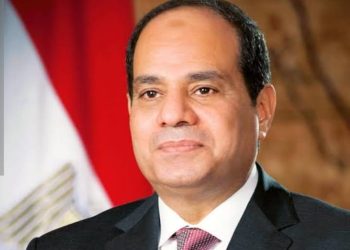 الرئيس عبد الفتاح السيسي يصدر قرار جمهورى .