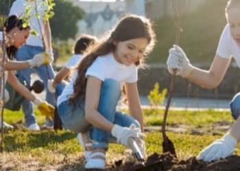 ثقافة التطوع في مصر بوابة تحقيق التنمية المستدامة