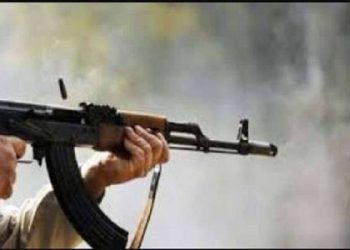 حفل زفاف يتحول إلى مشاجرة بالأسلحة النارية في أسيوط