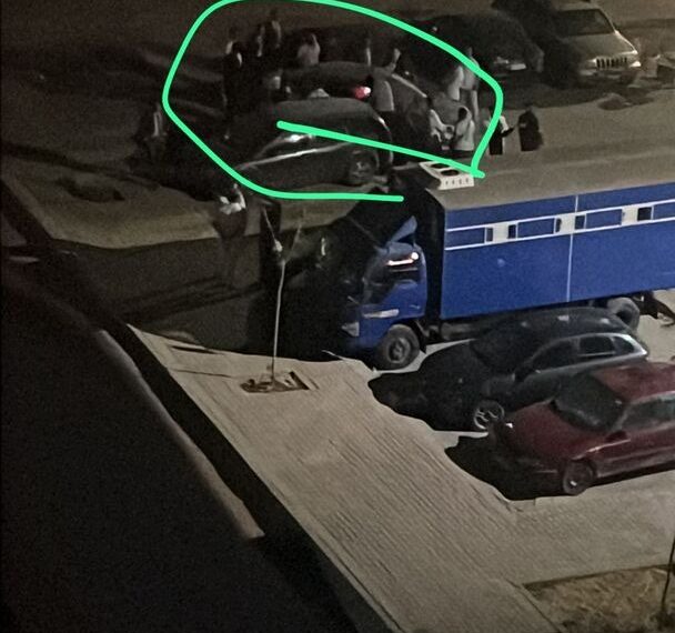 “سفاح التجمع يفر من الأمن خلال تصوير الجريمة ويُضبط مجددًا بعد ساعات”