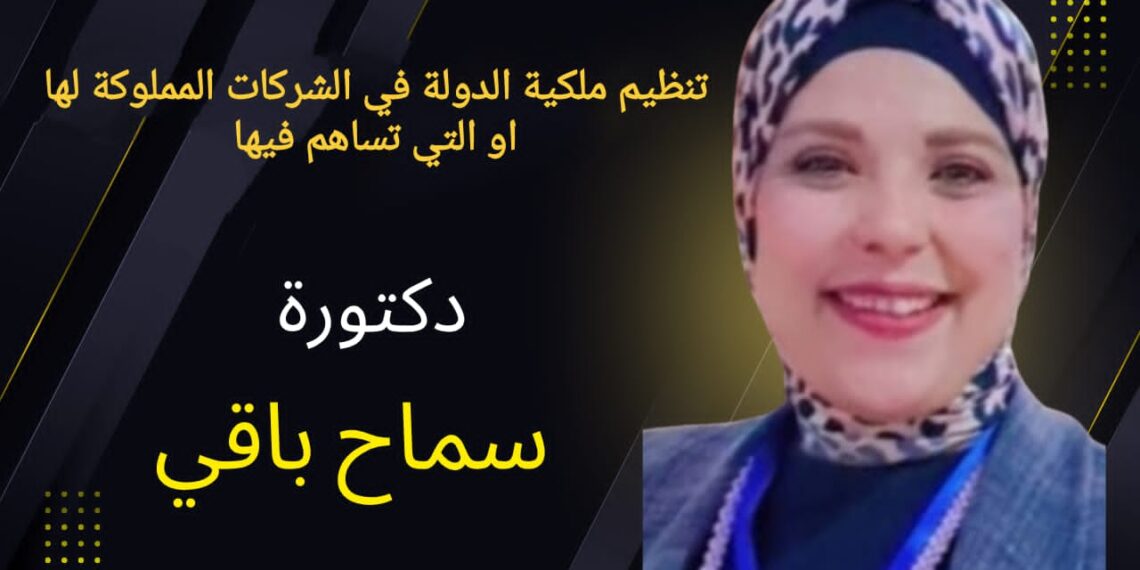 قانون 170 لسنة 2025… تحول جديد في اقتصاد الدولة: قراءة في التداعيات الاقتصادية للقانون على بيئة الأعمال