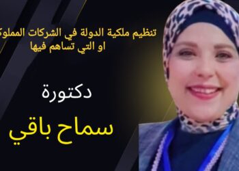 قانون 170 لسنة 2025… تحول جديد في اقتصاد الدولة: قراءة في التداعيات الاقتصادية للقانون على بيئة الأعمال