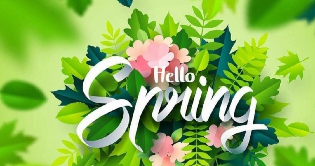 رسمياً انتهاء فصل الشتاء ..اليوم الخميس 20 مارس هو أول أيام فصل الربيع لعام 2025