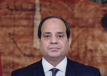 «واثقين في السيسي».. المصريون يردون على لجان الإرهابية بعرض الإنجازات رغم الأزمات