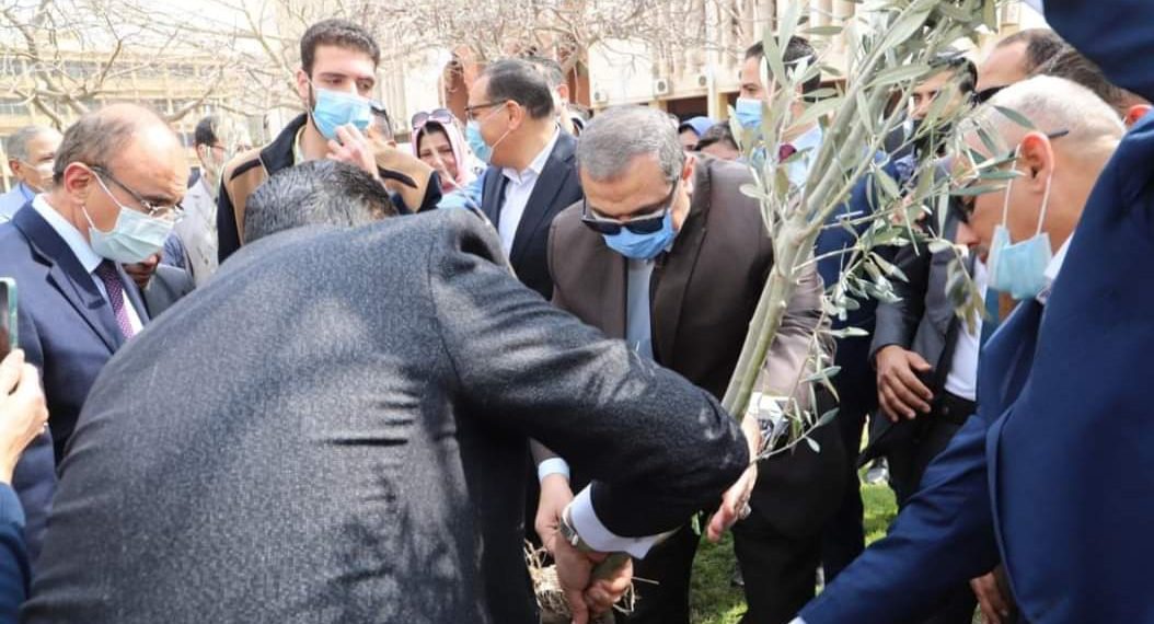 زراعة أشجار الزيتون في إطار مبادرة “هنجملها” بالشرقية