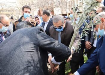 زراعة أشجار الزيتون في إطار مبادرة “هنجملها” بالشرقية