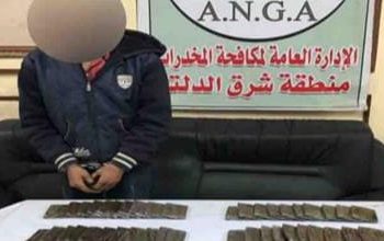 ضبط 5 تجار مخدرات بشحنة حشيش و3 آلاف قرص ترامادول بـ«الشرقية والدقهلية»