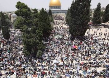 نحو 50 ألف مصلٍّ يؤدون صلاة الجمعة في المسجد الأقصى