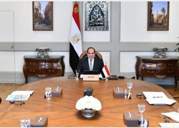 الرئيس السيسي يشارك عبر الفيديو كونفرانس في حوار القادة لجائحة كورونا وتغير المناخ بأفريقيا ‎