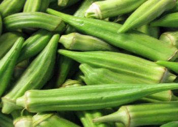 تعرف علي فؤائد البامية لقلبك