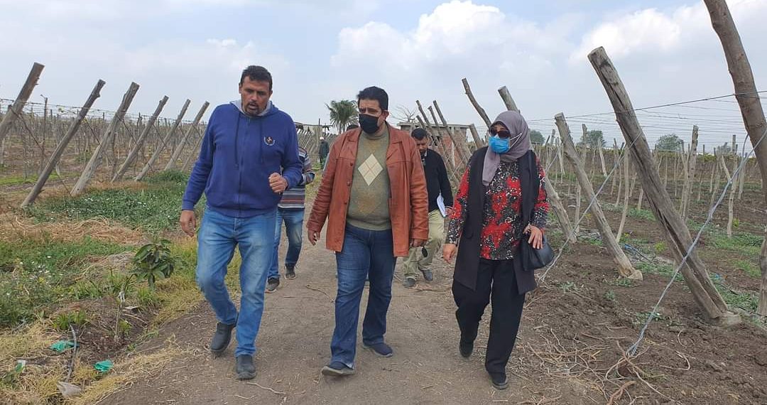 الشرقية تودع الري بالغمر وتطبق الحديث