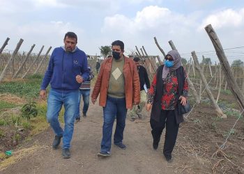 الشرقية تودع الري بالغمر وتطبق الحديث